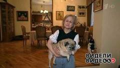 Несекретные материалы Дарьи Донцовой. Видели видео? Фрагмент выпуска от 15.09.2019