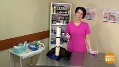 Приучаем кошку к когтеточке. Доброе утро. Фрагмент выпуска от 17.09.2019