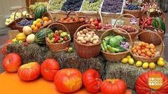 «Выставка достижений сельского хозяйства». Доброе утро. Фрагмент выпуска от 19.09.2019