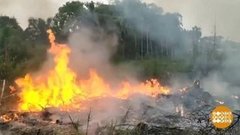 В мире. Пожары в джунглях. Доброе утро. Фрагмент выпуска от 24.09.2019