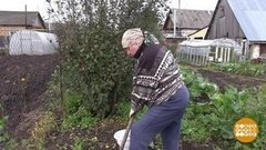 Осень. Дача. Все по плану. Доброе утро. Фрагмент выпуска от 27.09.2019