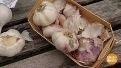 Выбираем чеснок. Доброе утро. Фрагмент выпуска от 27.09.2019