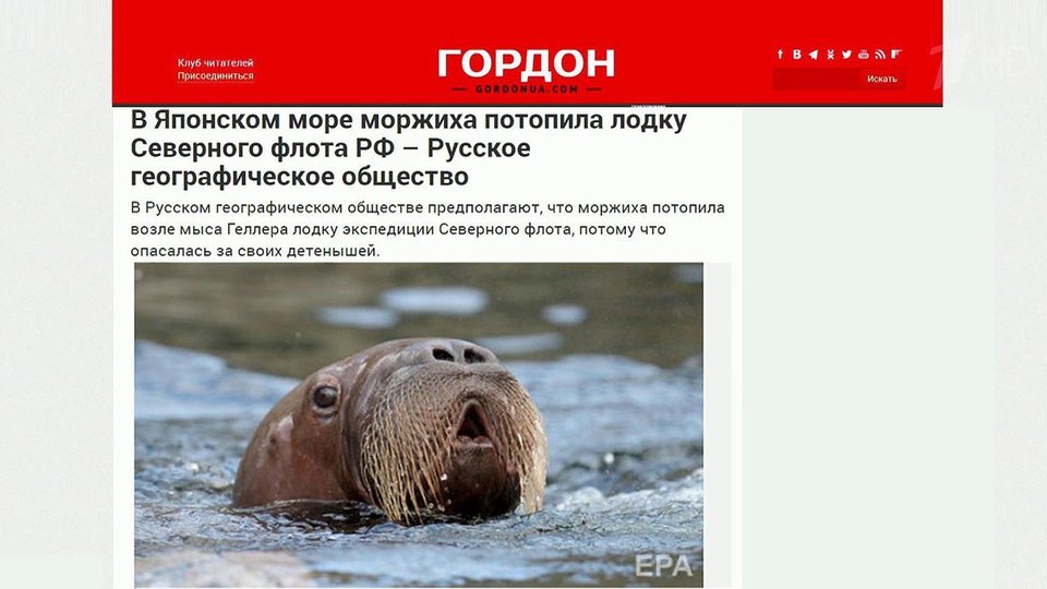 Новости по тегу: Моржи