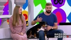 Видели видео? Часть 1. Выпуск от 29.09.2019