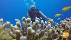 В мире. Необычные кораллы. Доброе утро. Фрагмент выпуска от 01.10.2019