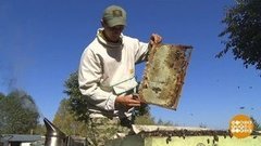 Осенний мед. Доброе утро. Фрагмент выпуска от 02.10.2019