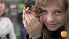 Хит-парад грызунов. Доброе утро. Фрагмент выпуска от 09.10.2019