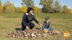 Грибы — мешками! Доброе утро. Фрагмент выпуска от 09.10.2019