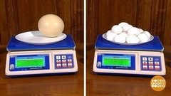 Такие крутые яйца. Доброе утро. Фрагмент выпуска от 11.10.2019