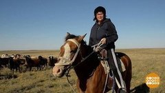 Нет наших женщин лучше! Доброе утро. Фрагмент выпуска от 15.10.2019