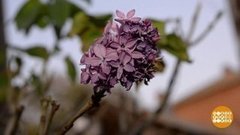 Страна цветет! Доброе утро. Фрагмент выпуска от 18.10.2019