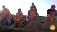 Ловись, барабулька! Доброе утро. Фрагмент выпуска от 07.11.2019