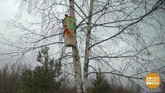 Капремонт в скворечнике. Доброе утро. Фрагмент выпуска от 07.11.2019