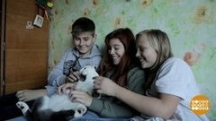 Спешите делать добро! Доброе утро. Фрагмент выпуска от 13.11.2019