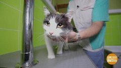 Айболит-2019. Доброе утро. Фрагмент выпуска от 18.11.2019