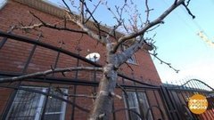 Как прописаться на даче? Доброе утро. Фрагмент выпуска от 05.12.2019