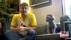 Животные. Пустые города. Открытие Китая. Выпуск от 07.12.2019