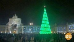 В мире. Рекордная ель. Доброе утро. Фрагмент выпуска от 11.12.2019