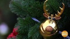 «Путешествие в Рождество». Ну, началось! Доброе утро. Фрагмент выпуска от 13.12.2019