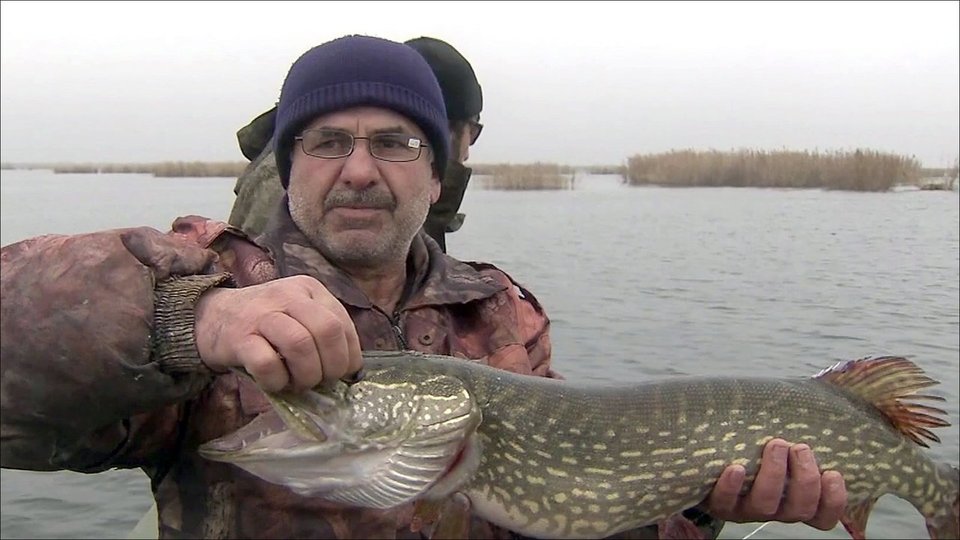 Фото аграханского залива