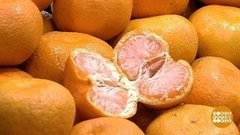 Мандариновый рай. Доброе утро. Фрагмент выпуска от 16.12.2019