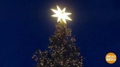 В мире. Рождественская ель. Доброе утро. Фрагмент выпуска от 17.12.2019