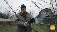 Дача в декабре: есть, чем заняться! Доброе утро. Фрагмент выпуска от 17.12.2019