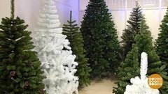 Выбираем искусственную елку. Доброе утро. Фрагмент выпуска от 20.12.2019