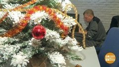 Спасите наши елки! Доброе утро. Суббота. Фрагмент выпуска от 21.12.2019