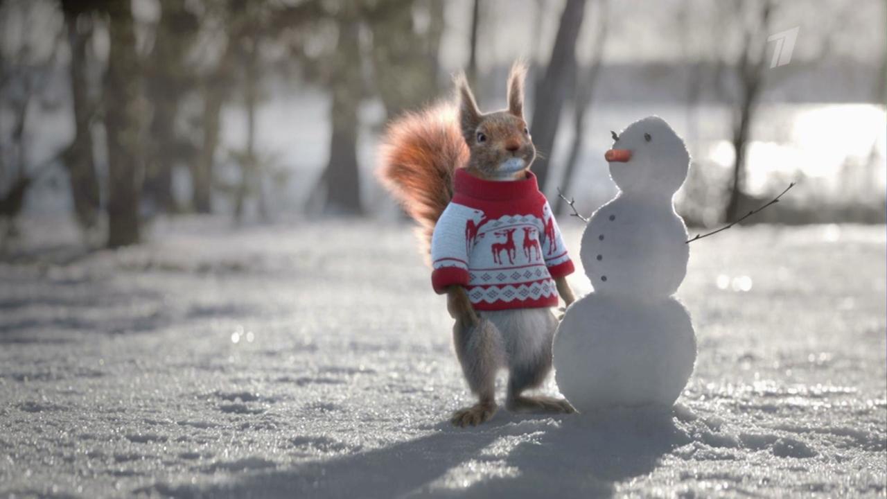 Белки снова на Первом! Снеговик