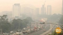 В мире. Смог от пожаров. Доброе утро. Фрагмент выпуска от 25.12.2019