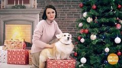 Защищаем елку от животных. А животных от елки… Доброе утро. Суббота. Фрагмент выпуска от 28.12.2019