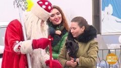 Выручайте Снегурочку! Доброе утро. Фрагмент выпуска от 31.12.2019