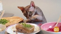 Хозяин, дай вкусняшку! Доброе утро. Фрагмент выпуска от 04.01.2020