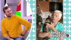 Голосистая чихуахуа. Видели видео? Фрагмент выпуска от 06.01.2020