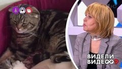 Несекретные материалы Ольги Кормухиной. Видели видео? Фрагмент выпуска от 07.01.2020