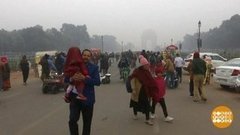 В мире. Рекордный смог. Доброе утро. Фрагмент выпуска от 13.01.2020