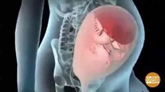 «Откуда дети берутся?» Теперь по-взрослому. Доброе утро. Фрагмент выпуска от 16.01.2020