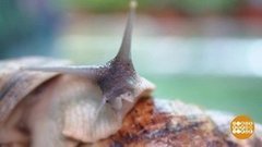 С новосельем, улиточка! Доброе утро. Фрагмент выпуска от 23.01.2020