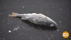 Зимняя рыбалка: что новенького? Доброе утро. Фрагмент выпуска от 24.01.2020