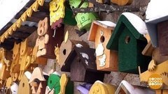 Каждой птичке — по кормушке. Доброе утро. Фрагмент выпуска от 24.01.2020