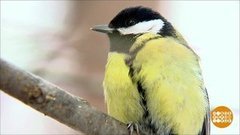 Какой будет весна? Доброе утро. Суббота. Фрагмент выпуска от 01.02.2020