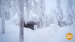 Настоящая зима. Есть и такая! Доброе утро. Фрагмент выпуска от 03.02.2020