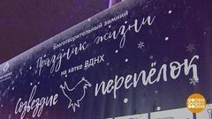 «Созвездие перепелок». Как это было. Доброе утро. Фрагмент выпуска от 03.02.2020