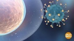 Вирус надо знать в лицо. Доброе утро. Фрагмент выпуска от 07.02.2020