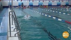 Кто водится в бассейне? Доброе утро. Фрагмент выпуска от 11.02.2020