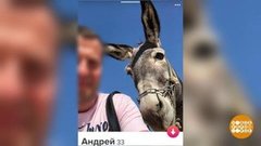 Одинокий мужчина желает познакомиться. Доброе утро. Фрагмент выпуска от 13.02.2020