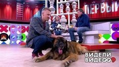 Видели видео? Часть 1. Выпуск от 16.02.2020