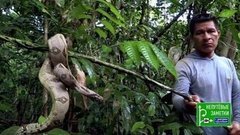 Азербайджан и завершение круиза по Амазонке. Непутевые заметки. Выпуск от 16.02.2020