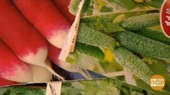 Чтобы семена проросли. Доброе утро. Фрагмент выпуска от 20.02.2020